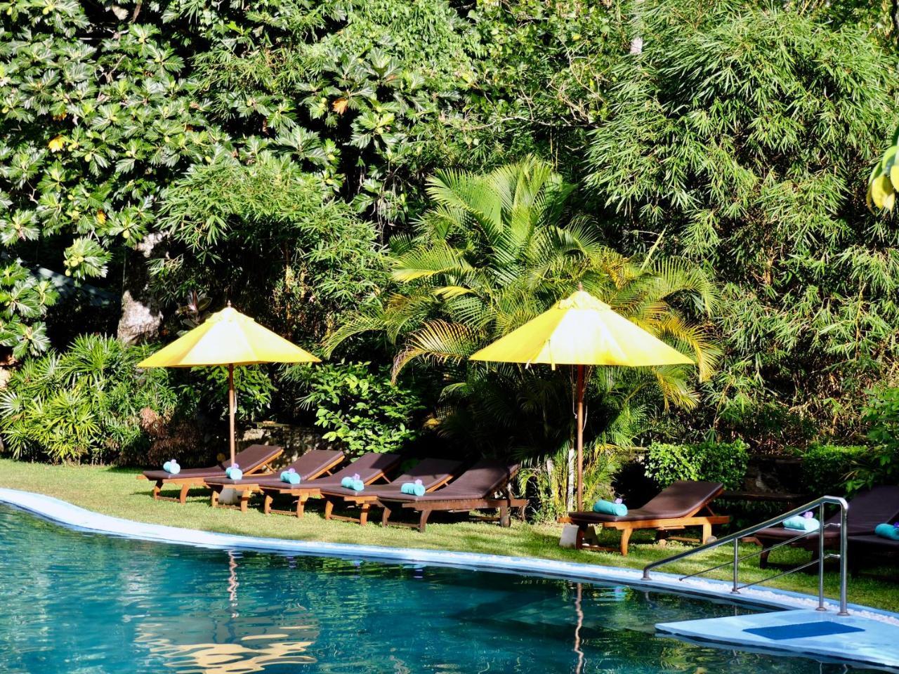 Yasmin Hill Longevity Oasis - Former Galavilla Boutique Hotel & Spa Kandy Eksteriør bilde